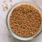 2000 Pcs mustard Seeds White bar food Garden Seeds