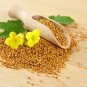 2000 Pcs mustard Seeds White bar food Garden Seeds