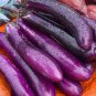 700 Pcs Long Purple Eggplant Seeds