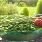 200 Pcs Long Bean Seeds ORGANIC Long Snake Bean Seeds Asparagus Vegetable