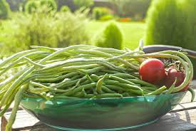 200 Pcs Long Bean Seeds ORGANIC Long Snake Bean Seeds Asparagus Vegetable