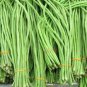 200 Pcs Long Bean Seeds ORGANIC Long Snake Bean Seeds Asparagus Vegetable