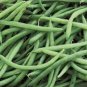 30 Pcs Top Crop Green Bean Seeds