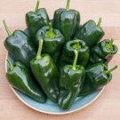 600 Pcs Sweet Pepper Seeds Ox Ear red green pepper organic non gmo 600 Pcs Sweet Pepper Seeds Ox Ear red green pepper organic non gmo