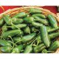 600 Pcs Sweet Pepper Seeds Ox Ear red green pepper organic non gmo