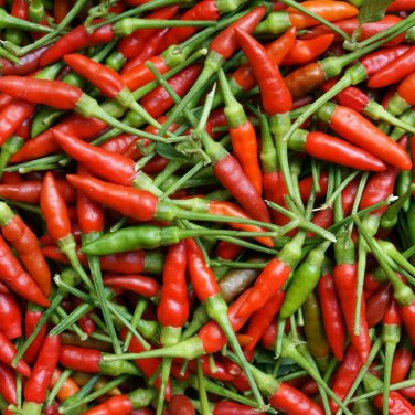 100 Pcs Birdseye Chili Pepper Seeds