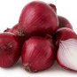 220 Pcs Onion Red Baron Giant Round Vegetable Planting Organic Heirloom