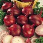 220 Pcs Onion Red Baron Giant Round Vegetable Planting Organic Heirloom