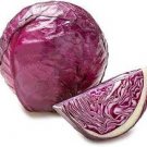 250 Pcs The more purple purple cabbage seeds vegetable