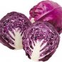 250 Pcs The more purple purple cabbage seeds vegetable
