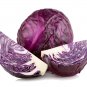 250 Pcs The more purple purple cabbage seeds vegetable