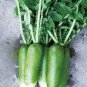 800 Pcs Organic green radish seeds fruit radishes untreated garden