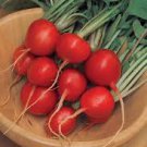 1000 Pcs Cherry Belle Radish Seeds