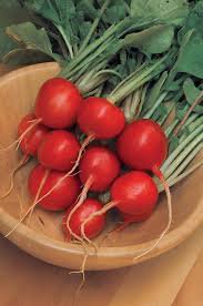 1000 Pcs Cherry Belle Radish Seeds
