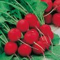 1000 Pcs Cherry Belle Radish Seeds