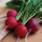 1000 Pcs Cherry Belle Radish Seeds
