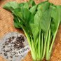 600 Pcs Mustard seed vegetable seed Choy Sum Seeds
