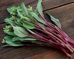 1500 Pcs Purple Choy Sum seeds Hon-Tsai Tai Kosaitai Flowering Cabbage