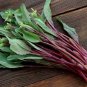 1500 Pcs Purple Choy Sum seeds Hon-Tsai Tai Kosaitai Flowering Cabbage