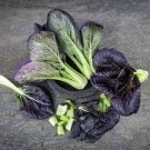 1200 Pcs Purple Lady Bok Choy