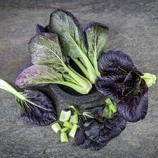 1200 Pcs Purple Lady Bok Choy