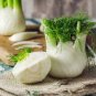 1800 Pcs FENNEL 'Florence' seeds unusual vegetable garden culinary herb bulb