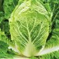 1000 Pcs Chinese cabbage seeds-non-GMO-organic Cabbage-open pollination