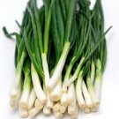 1000 Pcs Chinese Garlic Chives Seeds