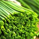 1500 Pcs Heirloom Onion Chives Seeds