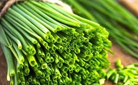1500 Pcs Heirloom Onion Chives Seeds