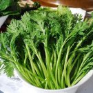 2000 Pcs Garland Chrysanthemum Seeds Tong Ho edible Chrysanthemum coronarium Asia Veg 2000 Pcs Garland Chrysanthemum Seeds Tong Ho edible Chrysanthemum coronarium Asia Veg