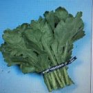 2000 Pcs Seeds Tong Ho edible Chrysanthemum 2000 Pcs Seeds Tong Ho edible Chrysanthemum