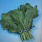 2000 Pcs Seeds Tong Ho edible Chrysanthemum