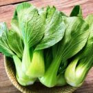 800 Pcs CHINESE CABBAGE (Buk Choy-White Stem) Seeds (BNISP) - Quick Growing