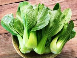 800 Pcs CHINESE CABBAGE (Buk Choy-White Stem) Seeds (BNISP) - Quick Growing