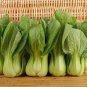 2000 Pcs Vegetable seeds, Chinese cabbage, Suzhou green