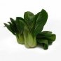 2000 Pcs Pak Choi White Stem Chinese Cabbage Bok choy vegetable