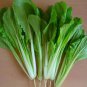 2000 Pcs Choi Seeds Green Stem Chinese Cabbage Bok choy Four Season vegetable