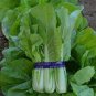 2000 Pcs Choi Seeds Green Stem Chinese Cabbage Bok choy Four Season vegetable