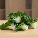 4000 Pcs Choi Seeds Green Stem Chinese Cabbage Bok choy Four Season vegetable