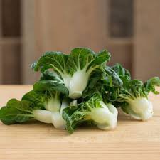 4000 Pcs Choi Seeds Green Stem Chinese Cabbage Bok choy Four Season vegetable