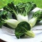 4000 Pcs Choi Seeds Green Stem Chinese Cabbage Bok choy Four Season vegetable