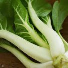 3000 Pcs Pak Choi White Stem Chinese Cabbage Seeds