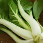 3000 Pcs Pak Choi White Stem Chinese Cabbage Seeds