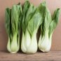 3000 Pcs Pak Choi White Stem Chinese Cabbage Seeds