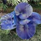10 Pcs Purple Travelers Palm Flores Bonsai