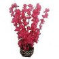 100 Pcs Mini Violet Beautiful Bonsai Flower