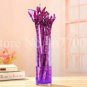 10 Pcs Rainbow Lucky Bamboo Bonsai Small Potted Plants Purify Dracaena Plantas