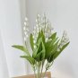 100 Pcs Lily of The Valley Flower Bell Orchid Rich Aroma Bonsai Flower so Cute and Beautiful