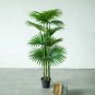 10 Pcs Palm Bonsai Plant Perennial Purification Air Palm Tree